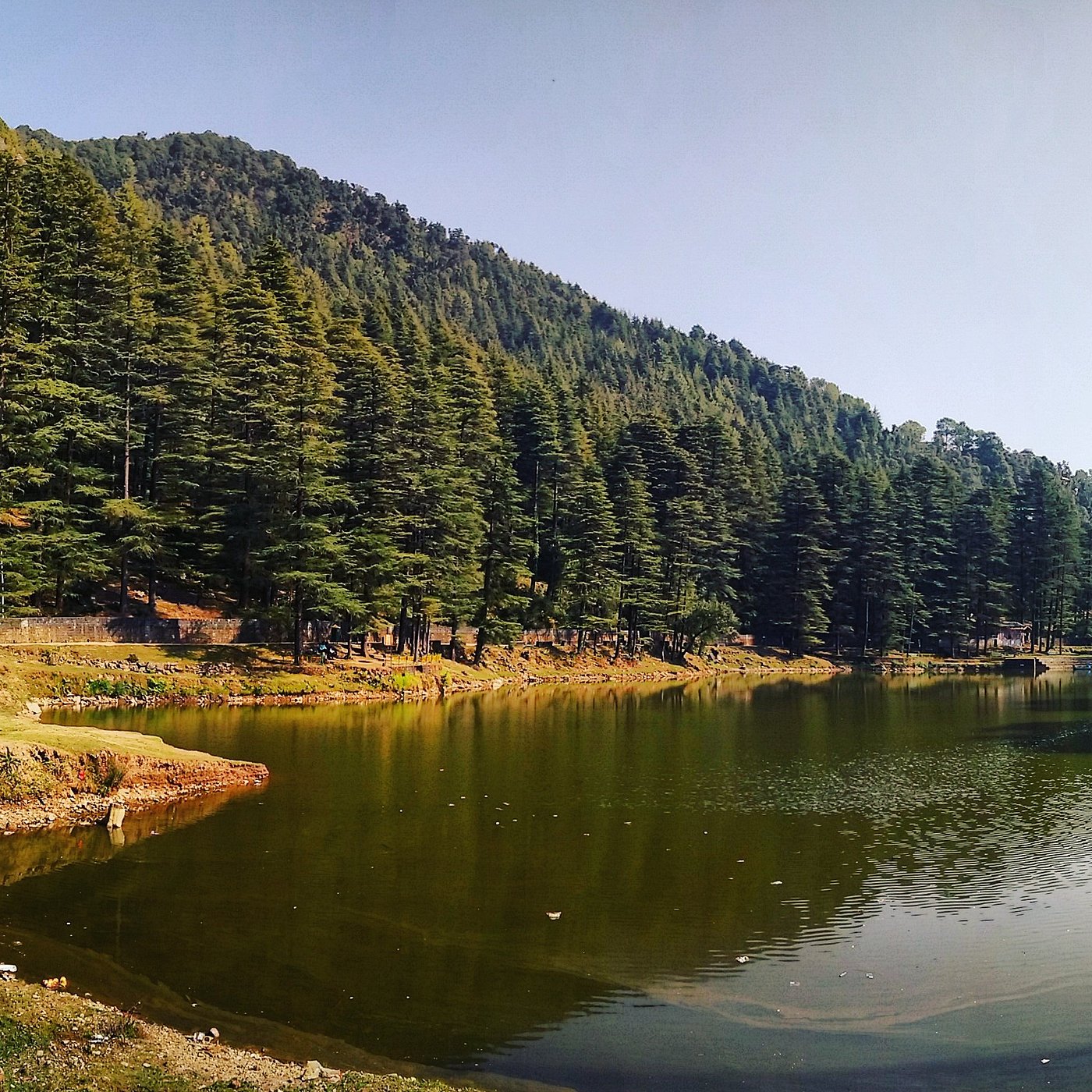  McLeodganj –Triund Trek Itinerary