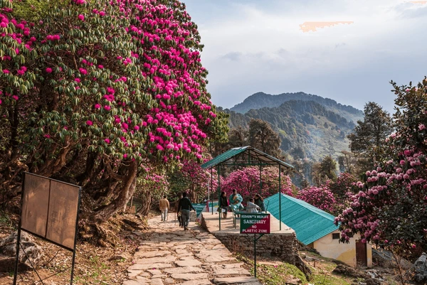 Kedarnath, Badrinath and Chopta Tour